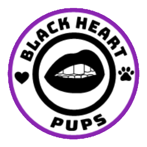 Black Heart Pups